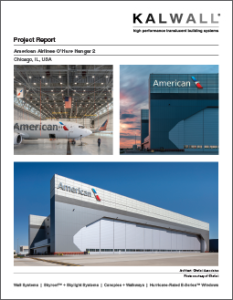 American Airlines project report cover