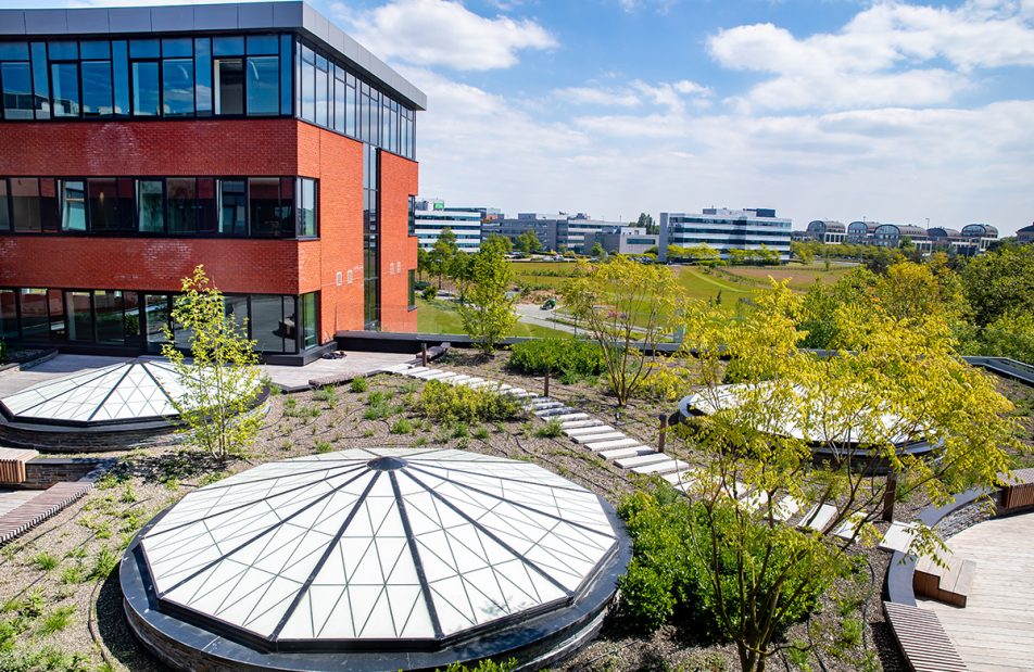 Greenhouse Office Building