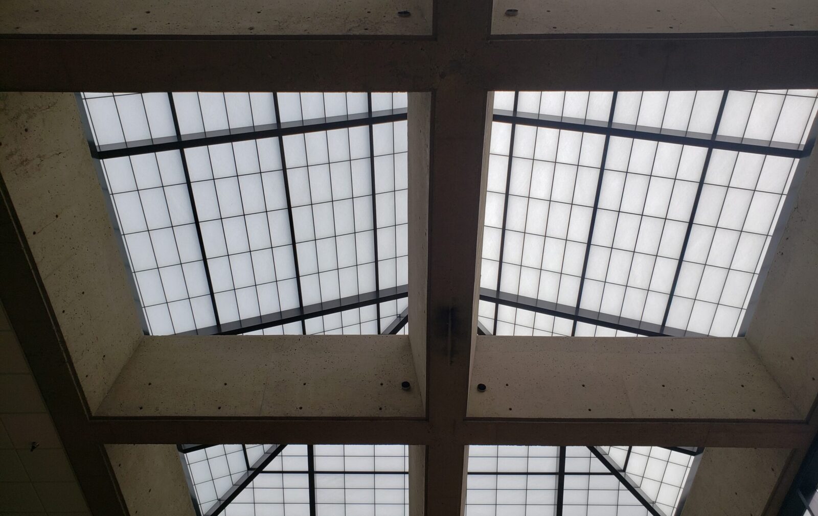 Metro Center | Binghamton, NY | Removable Skylight