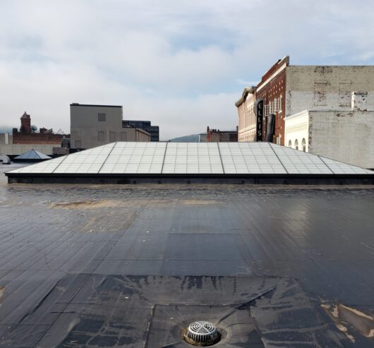 Metro Center | Binghamton, NY | Removable Skylight